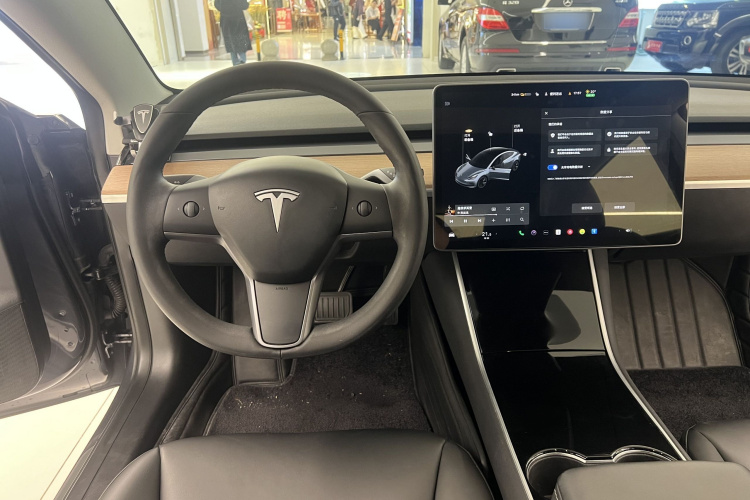 Tesla Model 3 2020 immagine di auto #10
