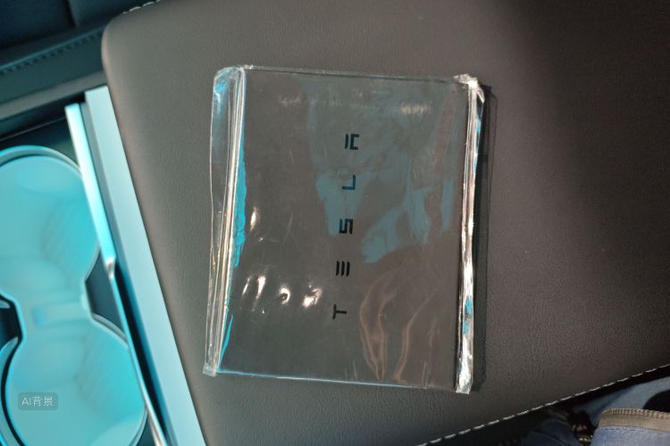 特斯拉 Model Y L 2025 汽车图片 #10