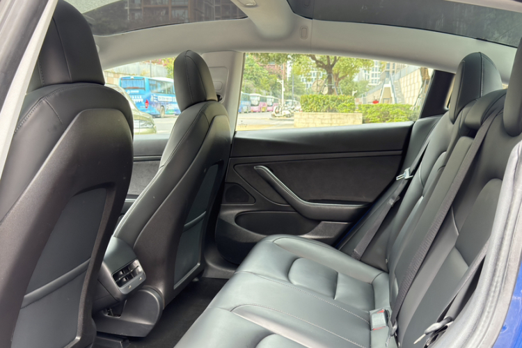 Tesla Model 3 2020 car image #10