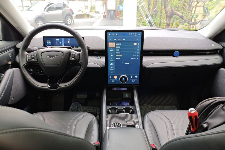 Ford Mustang Mach-E 2022 #10 Ford Mustang Mach-E 2022 car image #10