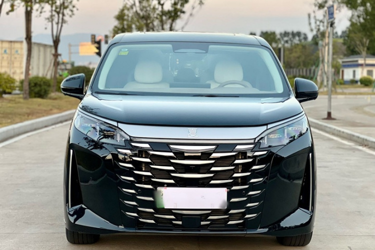 BYD Xia 2025 car image #10