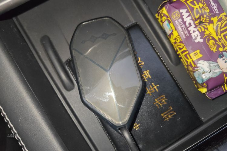 FangChengBao Tiger 3 2025 car image #10