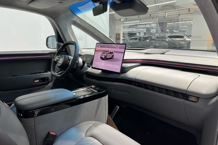 极氪 极氪MIX 2024 汽车图片 #10