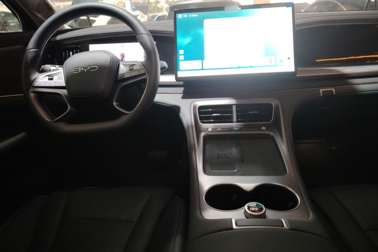 BYD Sea Lion 07 DM-i 2025 car image #10