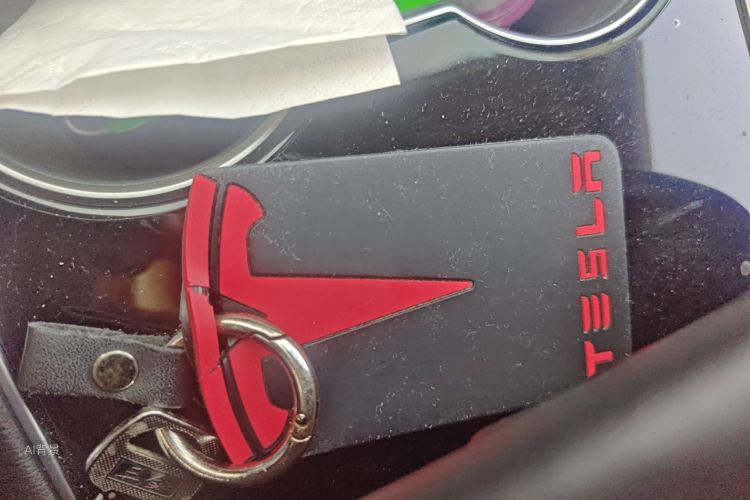 特斯拉 Model 3 2020 汽车图片 #10