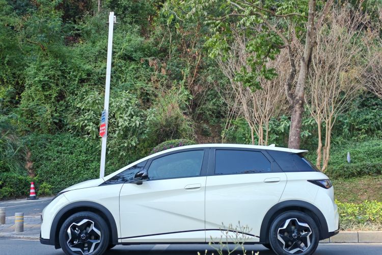 BYD Dolphin 2022 car image #10