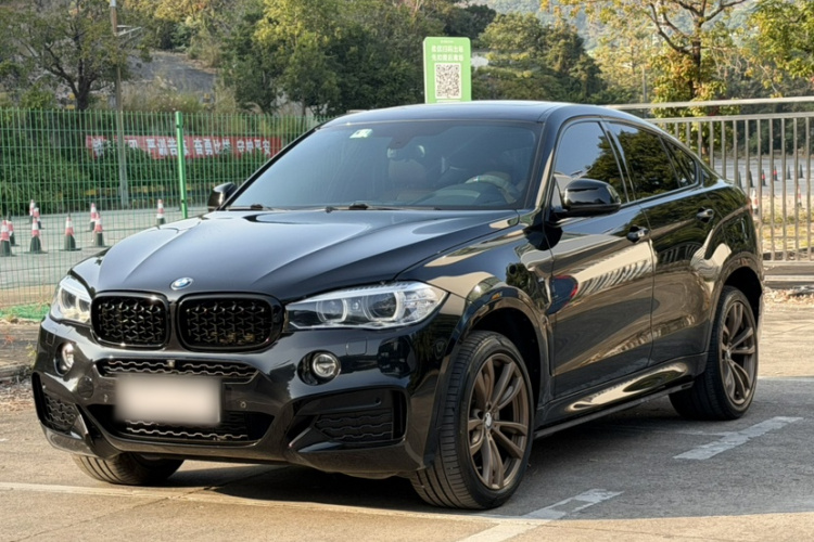 BMW X6 2018 car image #10