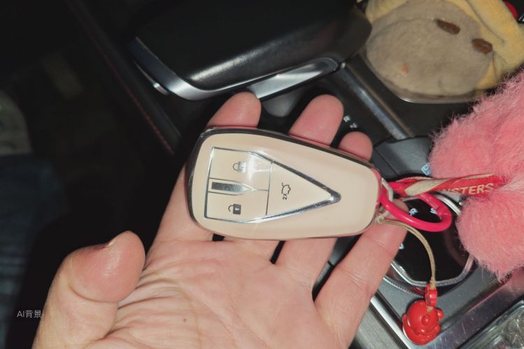 Changan CS55 Plus 2022 car image #10