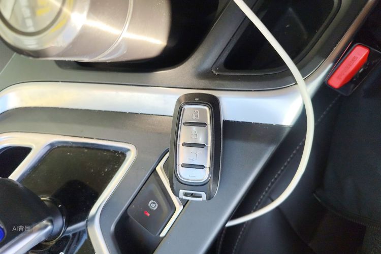 睿蓝汽车 枫叶80v 2022 汽车图片 #10