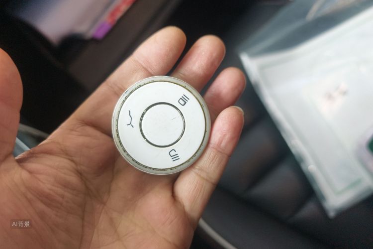 哪吒汽车 哪吒X 2023 汽车图片 #10