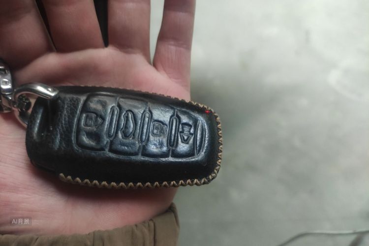 Haval H7 2016 car image #10