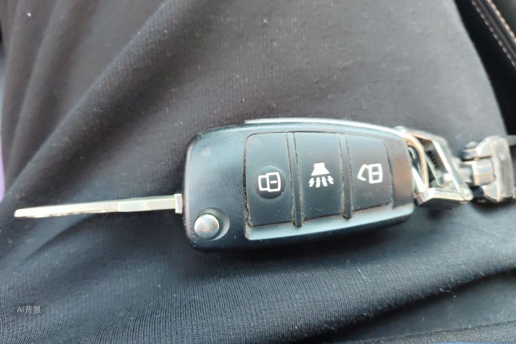Jetour X70 2020 car image #10
