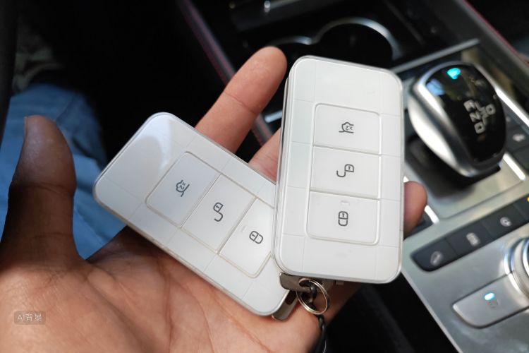 BYD Tang New Energy 2019 car image #10