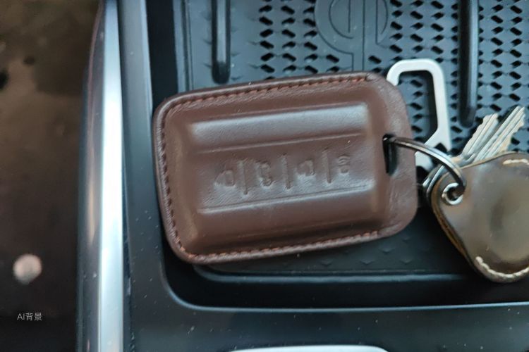 Tank 400 New Energy 2024 car image #10