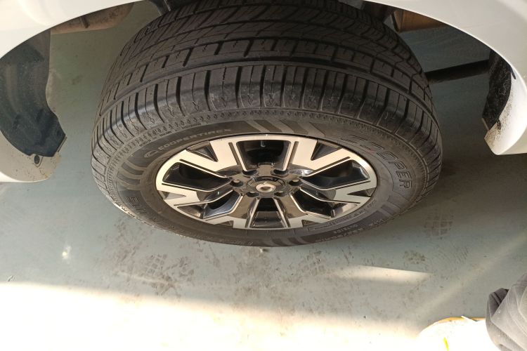 Great Wall Poer 2020 car image #10