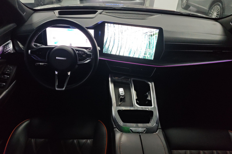 Haval XY 2021 #10 Haval XY 2021 صورة سيارة #10