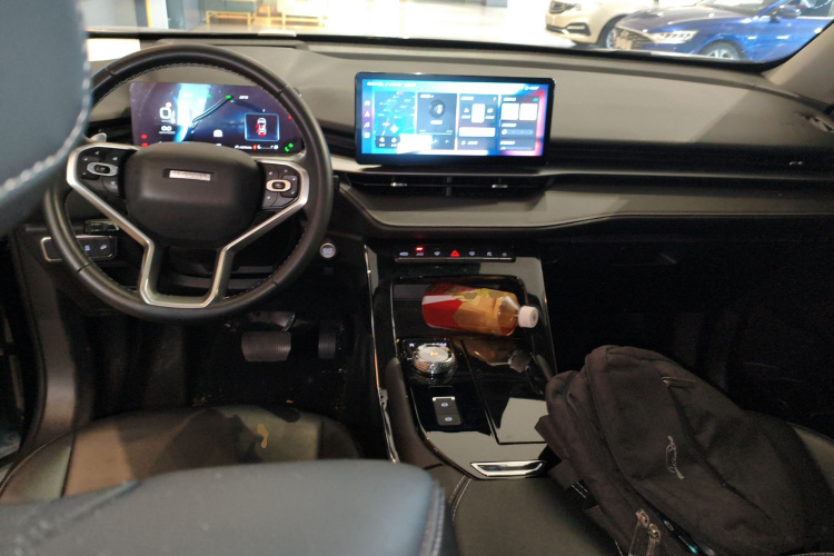 Haval H6 2022 car image #10