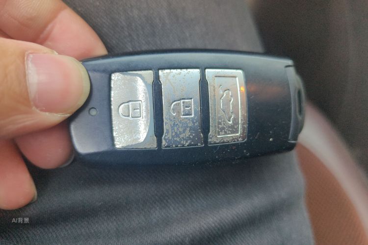 Forthing JOYEAR X5 2017 car image #10