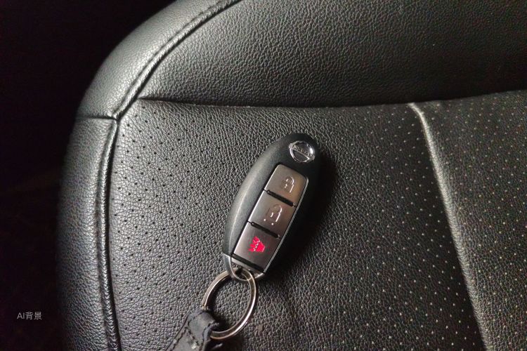 日产 逍客 2015 汽车图片 #10