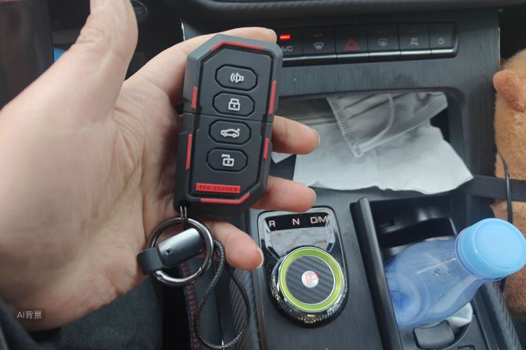 Haval H6S 2022 car image #10