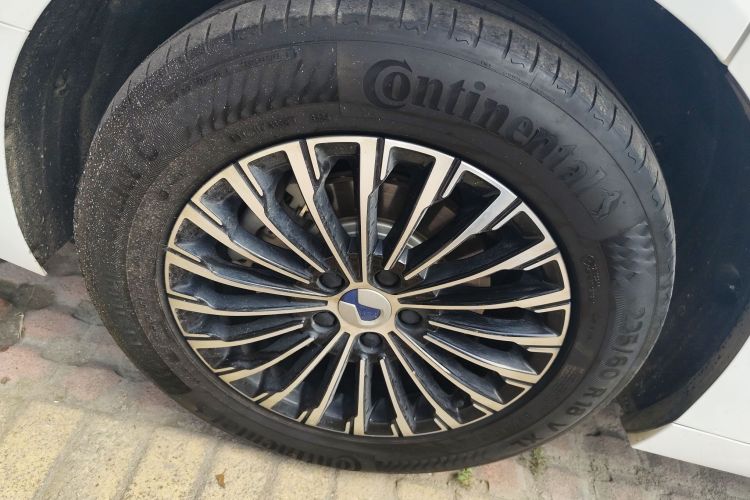 Denza D9 2024 صورة سيارة #10