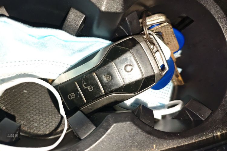 BYD Qin Pro New Energy 2019 #10 BYD Qin Pro New Energy 2019 car image #10