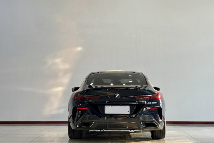 BMW 8 Series 2022 #10 BMW 8 Series 2022 car image #10