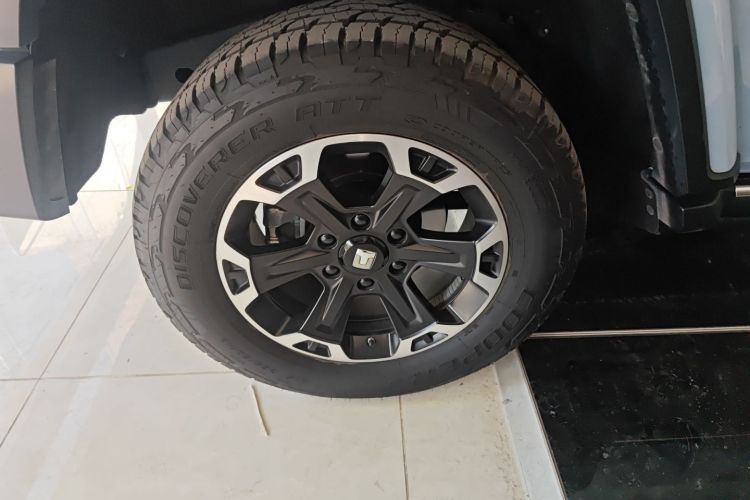 Tank 300 New Energy 2024 car image #10