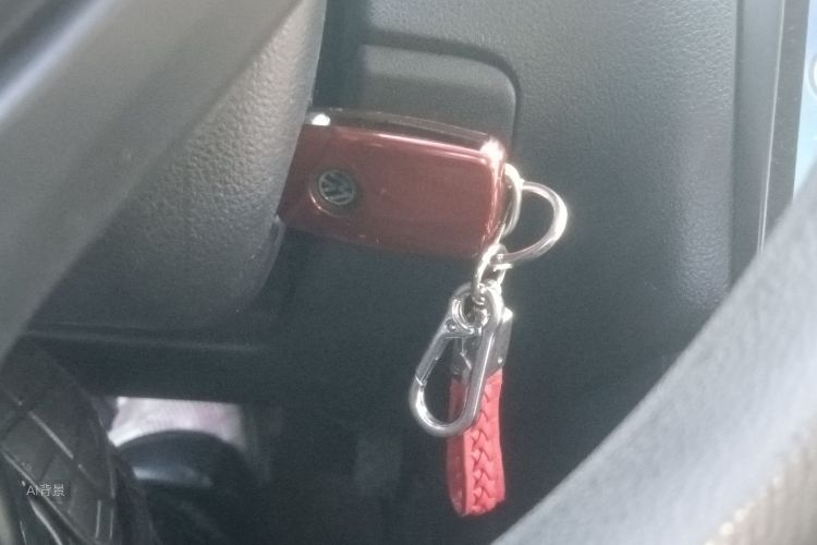 Polo 2016 汽车图片 #10