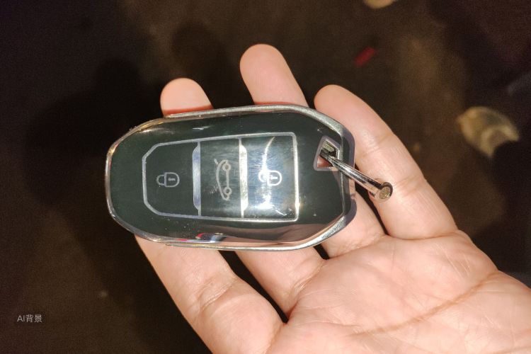 Citroen C4L 2015 car image #10