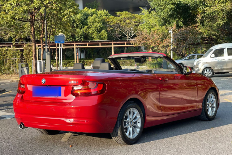 BMW 2 Series (Imported) 2016 car image #10