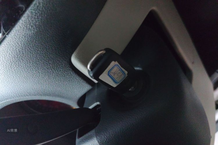 大众 Polo 2014 汽车图片 #10