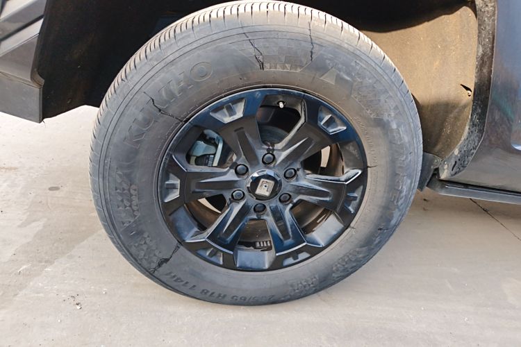 Tank 400 New Energy 2024 immagine di auto #10