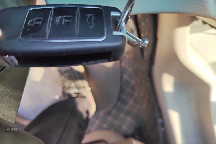 Forthing Lingzhi 2019 immagine di auto #10