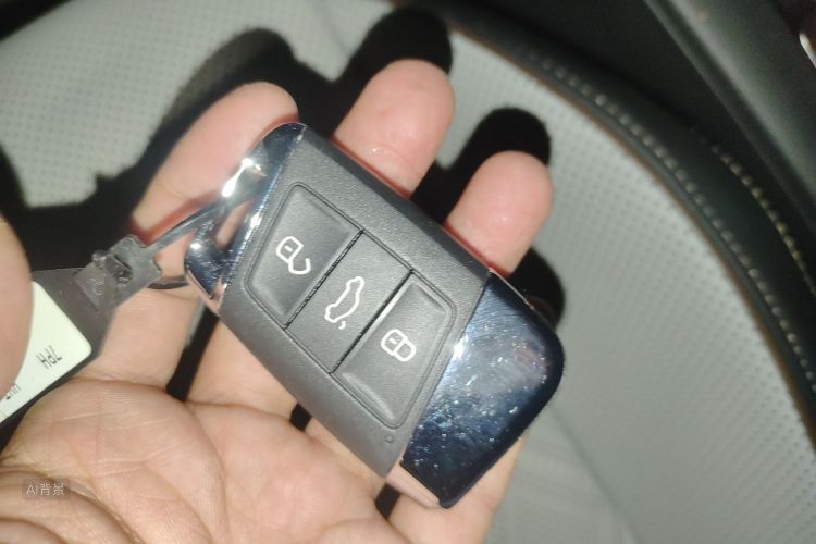 Volkswagen Magotan 2024 imagem de carro #10