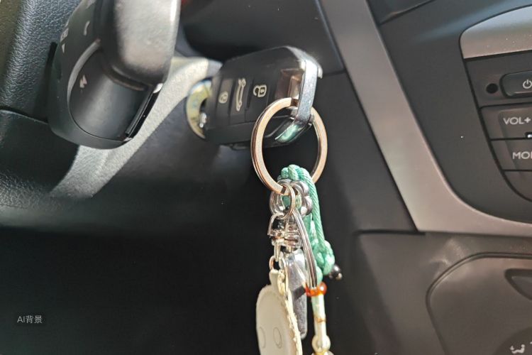 Citroen C-Elysée 2016 immagine di auto #10