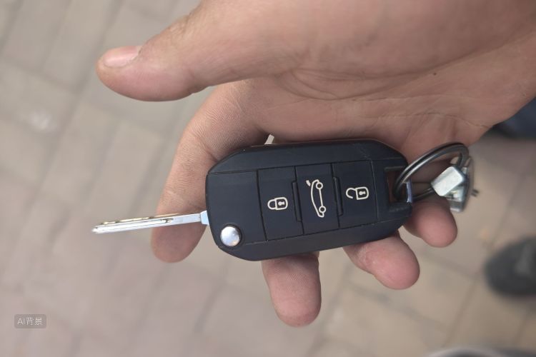 Citroen C-Elysée 2018 car image #10
