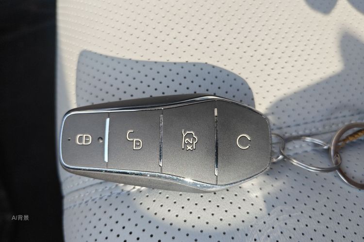 BYD Destroyer 05 2025 car image #10