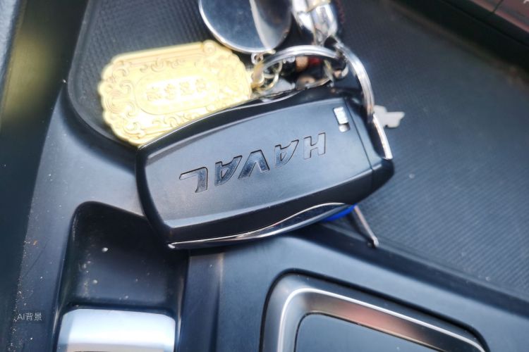 Haval F7 2020 #10 Haval F7 2020 car image #10