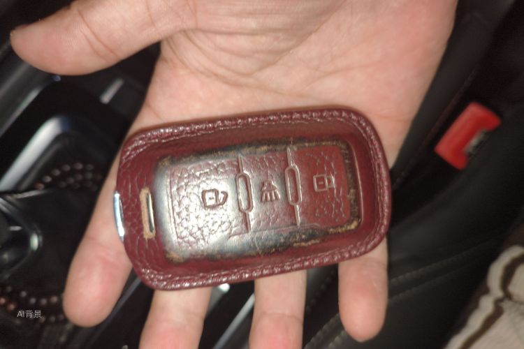 Jetour X90 2019 car image #10