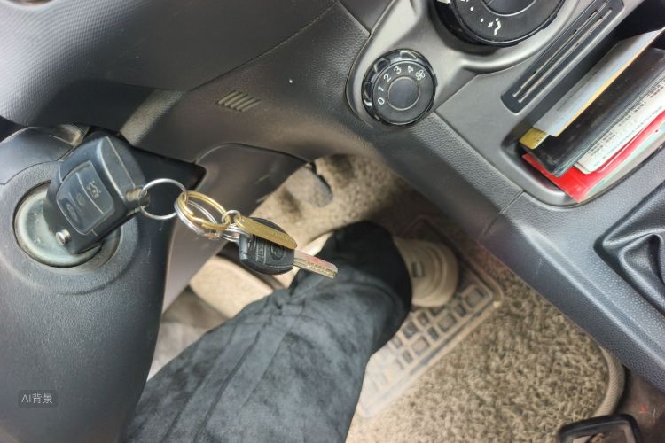 Ford Fiesta 2015 car image #10