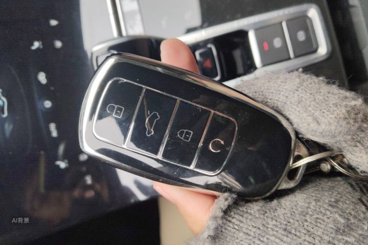 Chery Tiggo 8 Plus 2021 car image #10