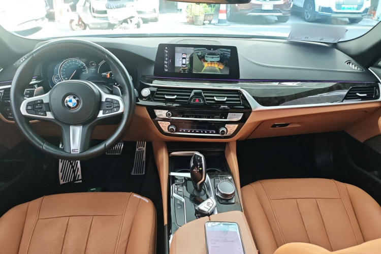 BMW 5 Series 2018 car image #10