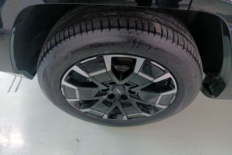 FangChengBao Leopard 8 2024 car image #10