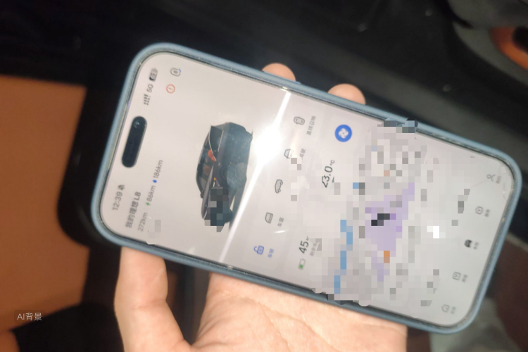 Li L8 2024 изображение автомобиля #10