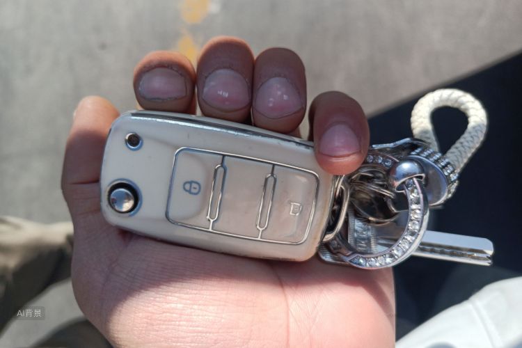 大众 宝来 2020 汽车图片 #10