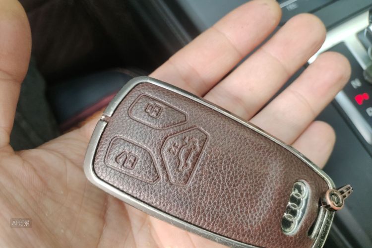 Audi Q5L 2019 car image #10