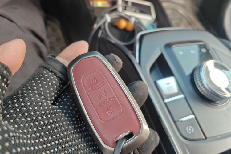 Livan Maple 60S 2022 изображение автомобиля #10