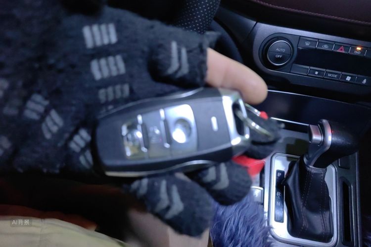 Haval H6 Coupe 2018 car image #10