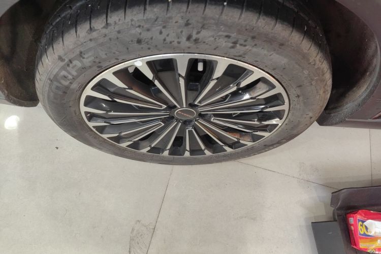 Exceed Yaoguang C-DM 2024 car image #10